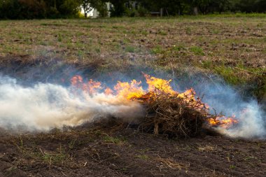 Kırp ve yak tarımı ya da sakal yakma. Toprağı sürdükten sonra ot kalıntılarından kurtulmak için tarımsal bir tarlada yangın çıktı.