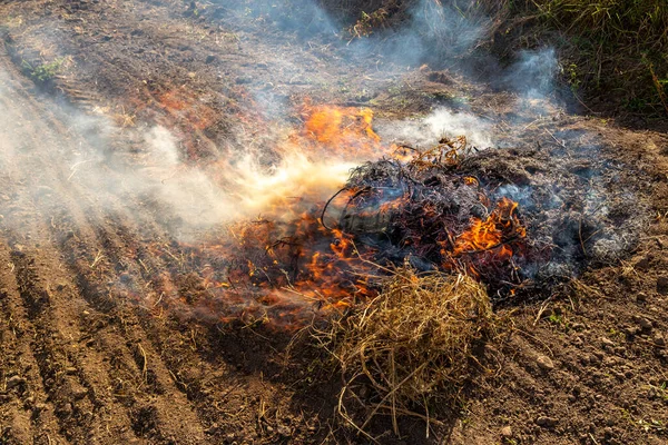 Fire being burned on a field to get rid of remnants of grass