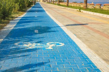 Özel bisiklet yolu işaretli bir deniz kıyısında bisiklet sürmek