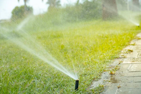 Auto Irrigation System Sea Shore Watering Palm Trees Lawn Fresh — Stock Photo, Image