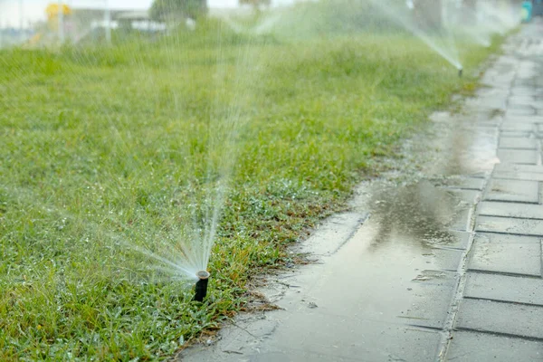 Auto Irrigation System Sea Shore Watering Palm Trees Lawn Fresh — Stock Photo, Image