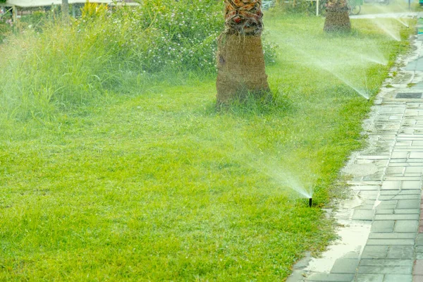 Sistema Auto Irrigação Uma Costa Mar Regando Palmeiras Gramado Com — Fotografia de Stock