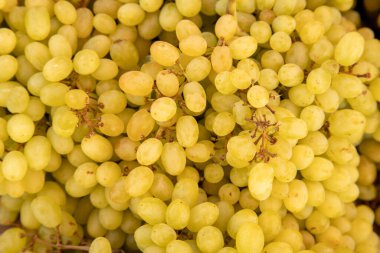 Taze meyve pazarı Fransa Seyahat Arkaplan Konseptinde Rafta Taze Meyve Yeşili Üzümleri