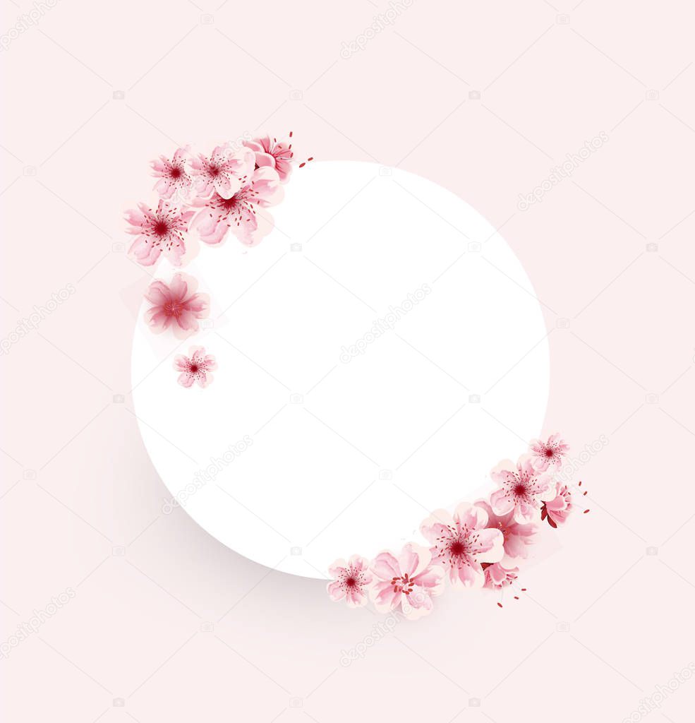 cherry blossoms flowers illustration isolated on pink background, lovely greeting card,vector, elements,banners,invitation,brochure,poster