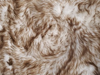 Güzel kürk, doğal yün