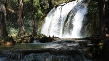 Chiflon şelaleler Meksika'daki Chiapas en güzel yerlerden biri. Burada sihirli hissediyorum