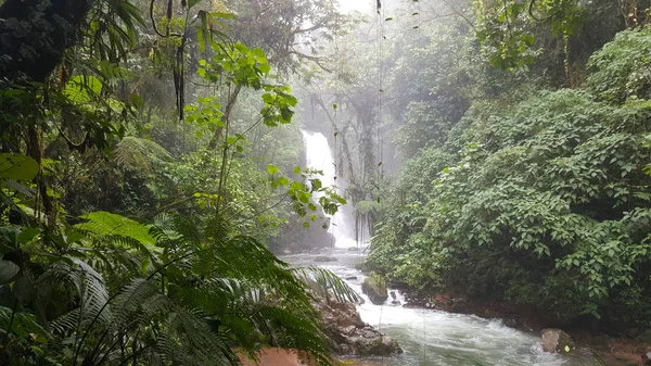 Paz Vízesés Dzsungel Costa Rica Trópusi Erdők Gyönyörű Kilátással Február Stock Kép