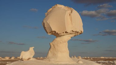 Beyaz Çöl'deki Beyaz Kaya. Mısır 2019