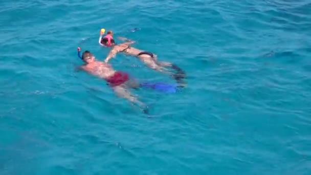 Kızıldeniz Şnorkelle Yüzme Nsanların Etkinliği — Stok video
