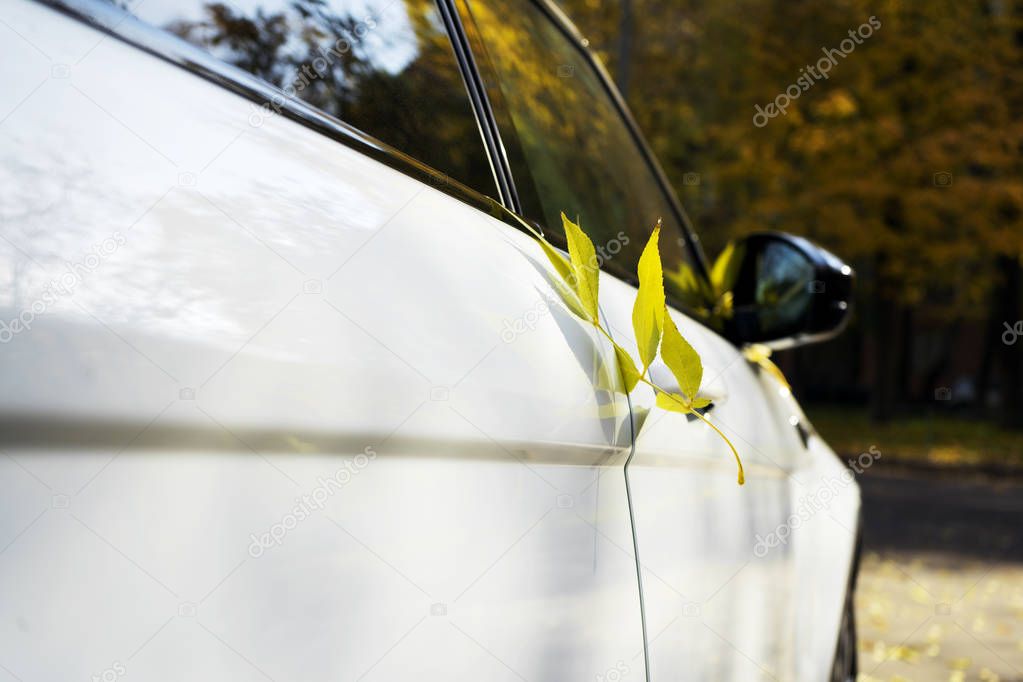 A yellow autumn leaf is accidentally pinned by a car door.