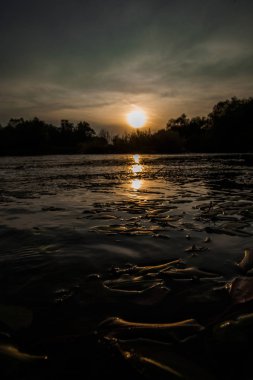 Güzel gün batımı. Manzaralı. Nehir akar yaz vadiler arasında 