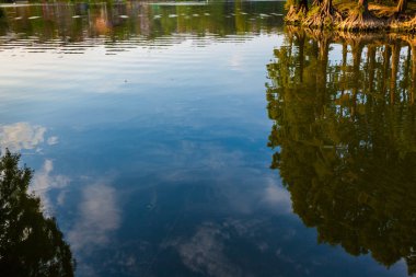 Yeşil ağaçlar ve mavi gökyüzü orman gölde yansıtan