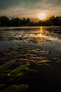 Güzel günbatımı. Vadi Nehri kırsal manzara 