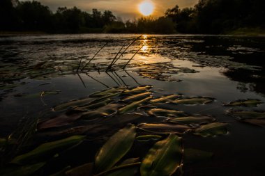 Vadi Nehri doğal kırsal peyzaj. Güzel günbatımı