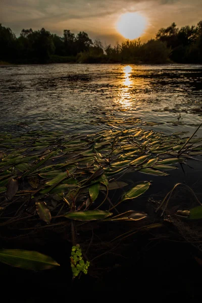 Beau coucher de soleil. Vallée rivière paysage rural vue — Photo