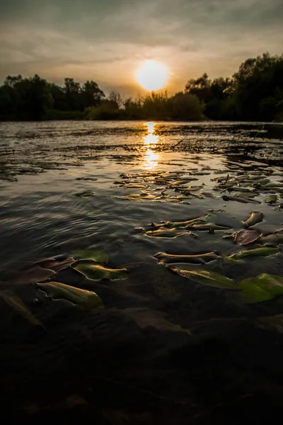 Beau coucher de soleil. Vallée rivière paysage rural naturel — Photo
