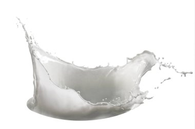 Beyaz arkaplanda süt sıçraması izole edildi