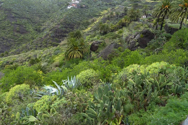 Impresionante Gorge Maska. Vista fascinante desde el punto de vista — Foto de Stock