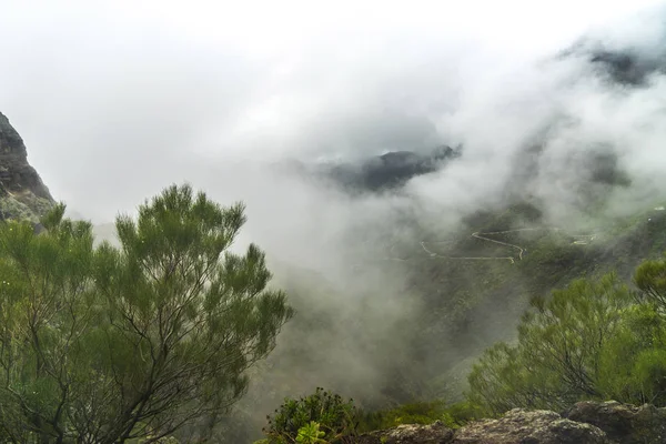 Fog over Mask Gorge. A charming view from the point of view of t Stock Picture