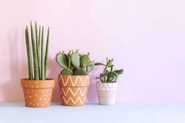 Tencere pastel zemin üzerine yeşil succulents el boyalı