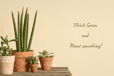 Elinde yeşil succulents tencere pastel duvar dekor ile boyalı