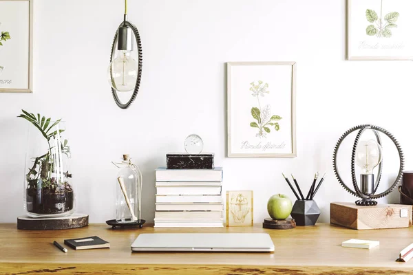 Modern home office interior with wooden desk, books, laptop, vintage illustrations of plants, lamp and office accessories.