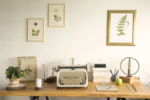 时尚的家庭办公室 灵感家庭办公室内部的概念与木制书桌和老式打字机 书籍的构图 植物的复古插图 灯具和办公配件 — 图库照片