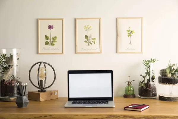 Stylish concept of mock up laptop screen in modern home office interior with wooden desk, books, laptop, plants, poster frames of vintage plants, table lamp, pencils and other office accessories.