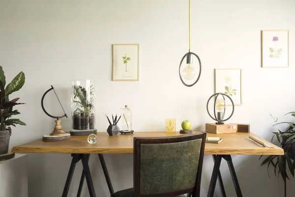 木製の机 ラップトップ 植物のロマンチックなイラスト テーブルランプ オフィスアクセサリーを備えたヴィンテージ 創造的なホームオフィスのインテリア — ストック写真