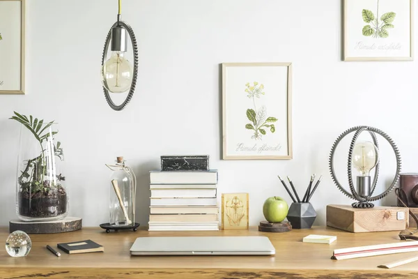 Modern home office interior with wooden desk, books, laptop, vintage illustrations of plants, lamp and office accessories.