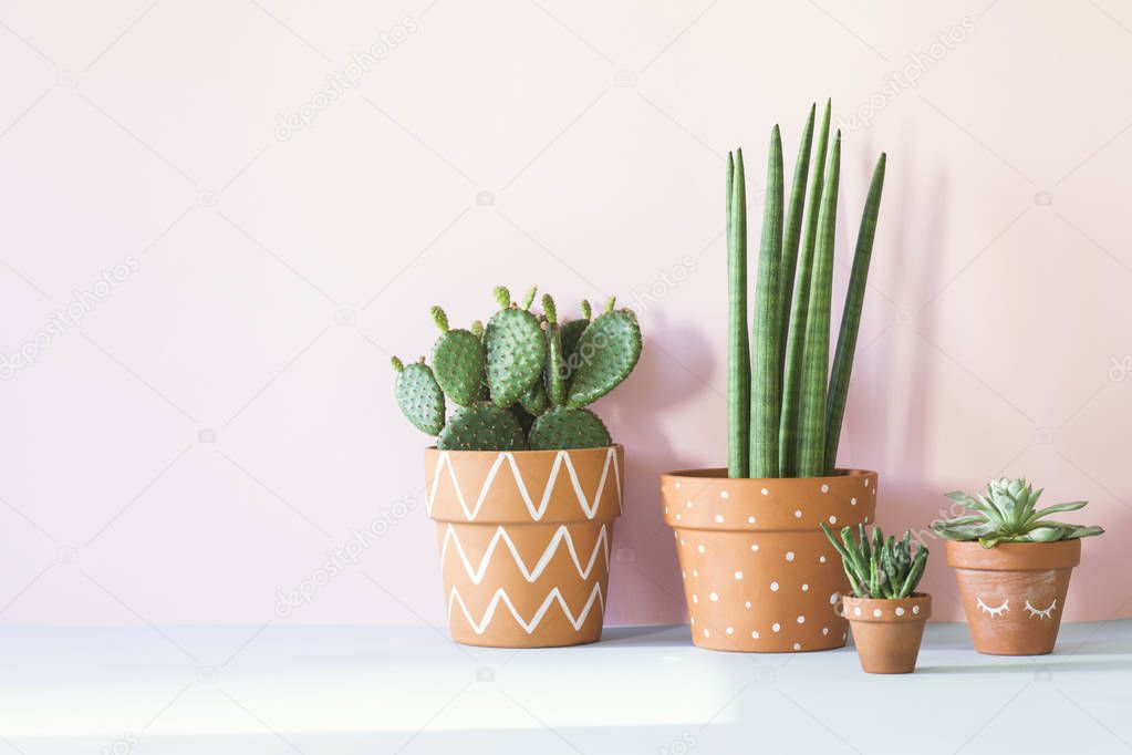 Green succulents in hand painted pots on pastel background