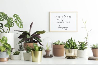 Benim bitkiler ile yeşil houseplants koleksiyonu yapmak beni mutlu yazıt çerçeve beyaz duvar içinde