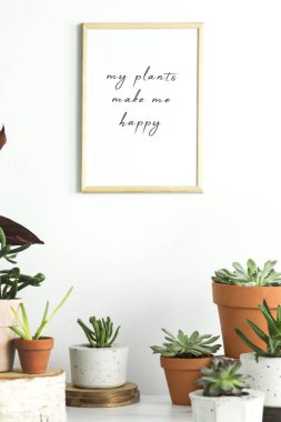 Benim bitkiler ile yeşil houseplants koleksiyonu yapmak beni mutlu yazıt çerçeve beyaz duvar içinde