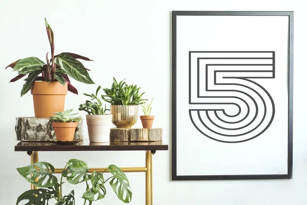 Green corner with collection of houseplants on shelf and stylish frame on wall