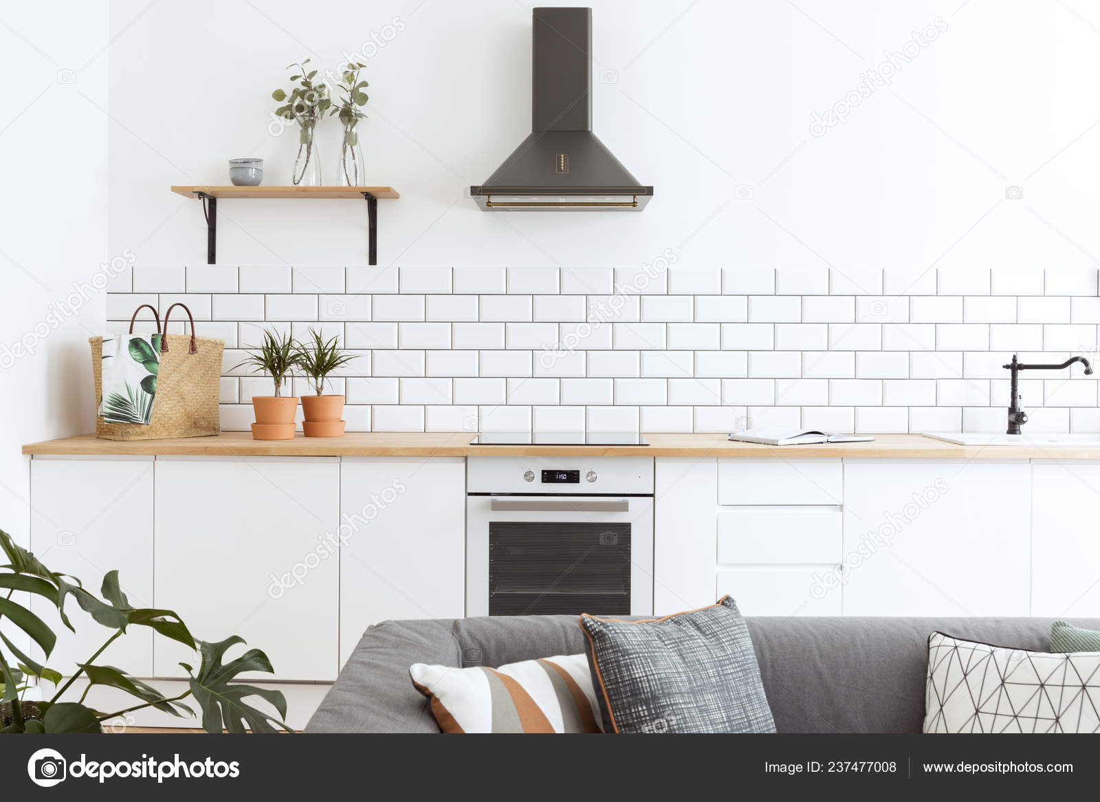Modern Open Interior Living Room Kitchen Stylish Sofa Plant
