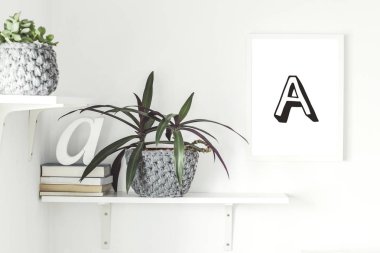 Konsept rafları ile şık İskandinav iç, poster çerçevesi kadar mock, hipster pot kitaplar ve bitkiler. Beyaz duvarlı modern oda.