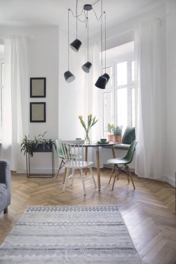 Mutfak ve oturma odası ile modern ve tasarım scanidnavian açık alan. Güneşli ve parlak alan whit beyaz tuğla duvarlar, bitki ve kanepe bir sürü.