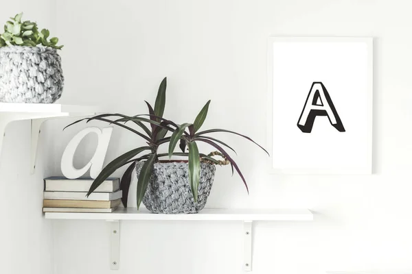 The stylish scandinavian interior with concept shelfs, mock up poster frame,  books and plants in hipster pot. Modern room with white walls.