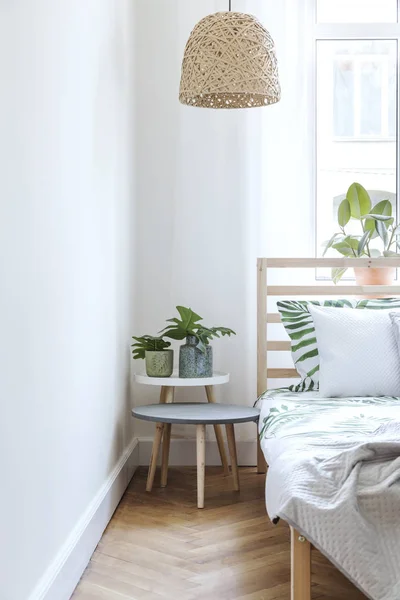 Elegante Moderna Habitación Soleada Con Plantas Ropa Cama Con Motivos — Foto de Stock