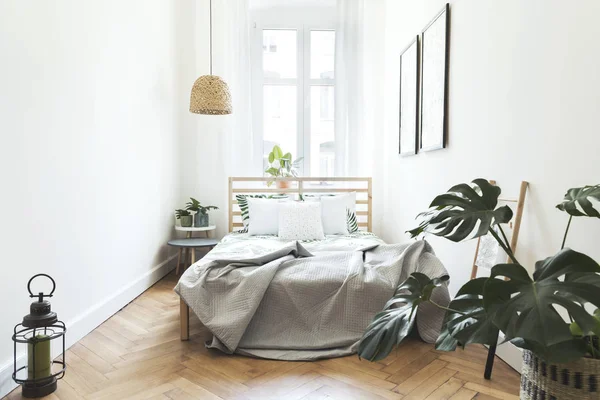 Stijlvolle Moderne Scandinavische Zonnige Slaapkamer Met Planten Bloemmotief Beddengoed Pilows — Stockfoto