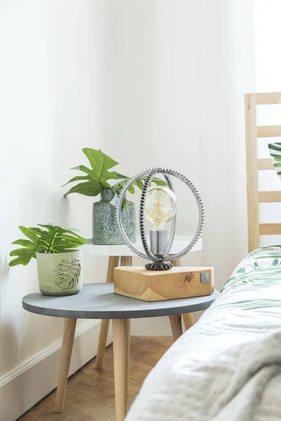 Moderna Habitación Escandinava Soleada Con Plantas Lámpara Diseño Ropa Cama — Foto de Stock