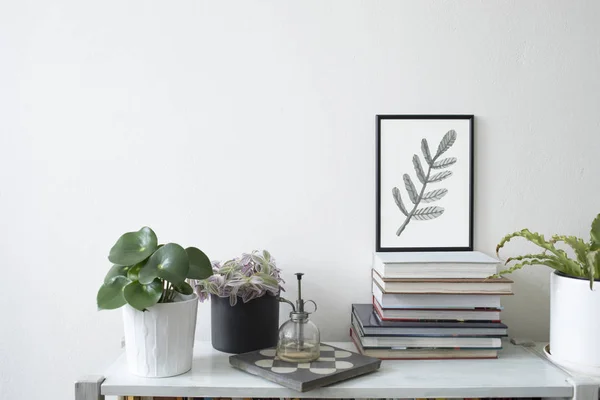 Modern Scandinavian Home Interior Mock Frame Plants Vintage Sprinkler Shelf — Stock Photo, Image