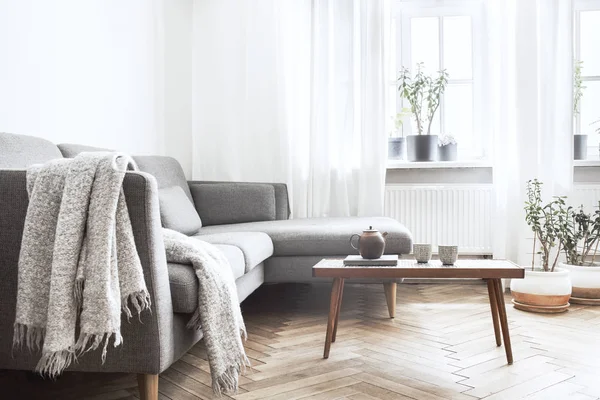 Elegante Soggiorno Luminoso Interno Con Divano Grigio Stile Scandinavo Tavolino — Foto Stock