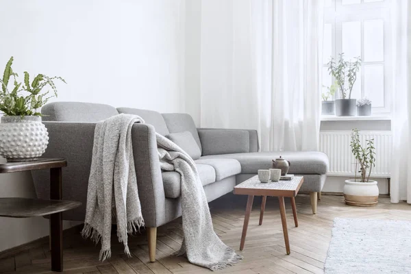 Stylish light living room interior with grey sofa in scandinavian style and wooden coffee table