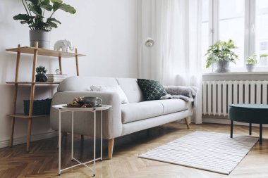 Işık oturma odası iç trendy İskandinav tarzı şık gri kanepe