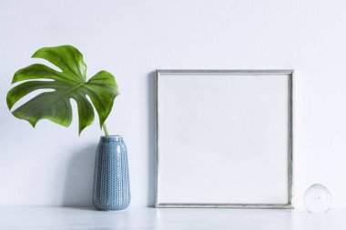 monstera yeşil yaprak Vazoda beyaz arka plan üzerinde boş çerçeve