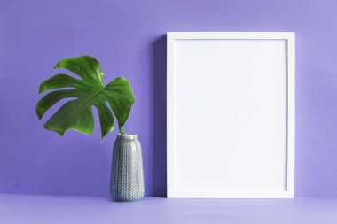 monstera yeşil yaprak ultraviyole arka plan üzerinde vazoda boş çerçeve 