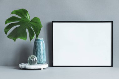 monstera yeşil yaprak gri arka plan üzerinde vazoda boş çerçeve