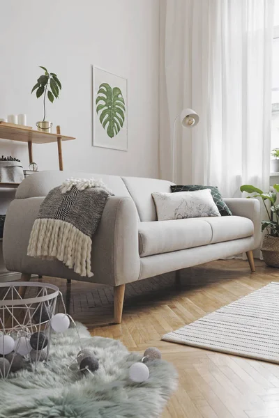 居心地の良いリビング ルーム インテリア北欧風のグレーのソファーと壁のフレームに塗装 モンステラ リーフ — ストック写真