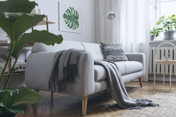 居心地の良いリビング ルーム インテリア北欧風のグレーのソファーと壁のフレームに塗装 モンステラ リーフ — ストック写真